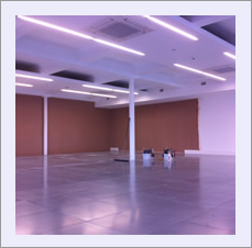 sevendale house manchester  plastering to walls & ceilings